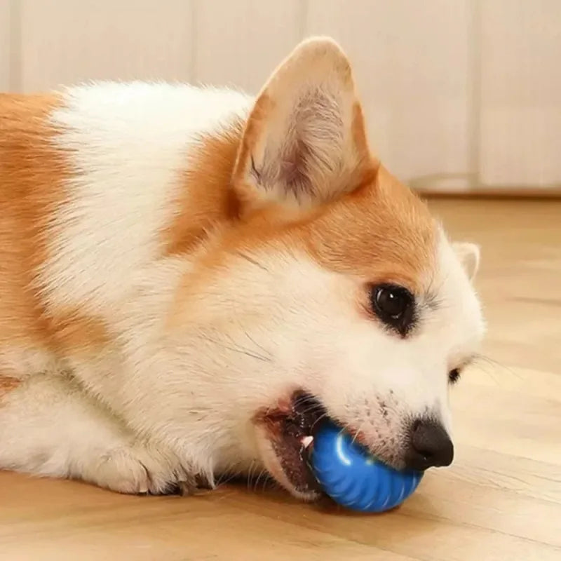 Pelota de juguetes para perros Pelusin