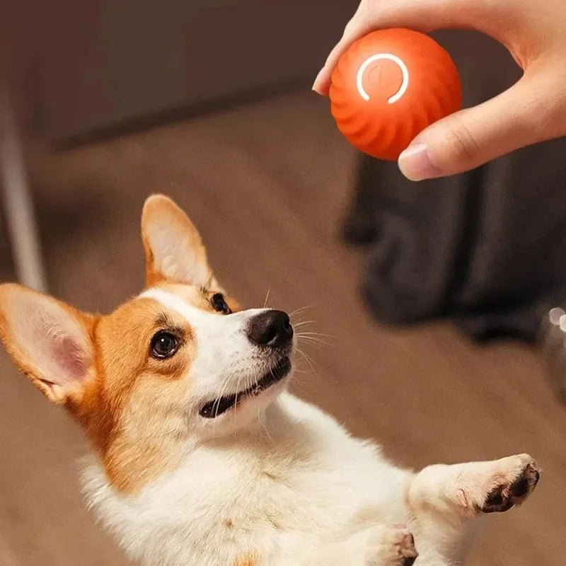 Pelota de juguetes para perros Pelusin